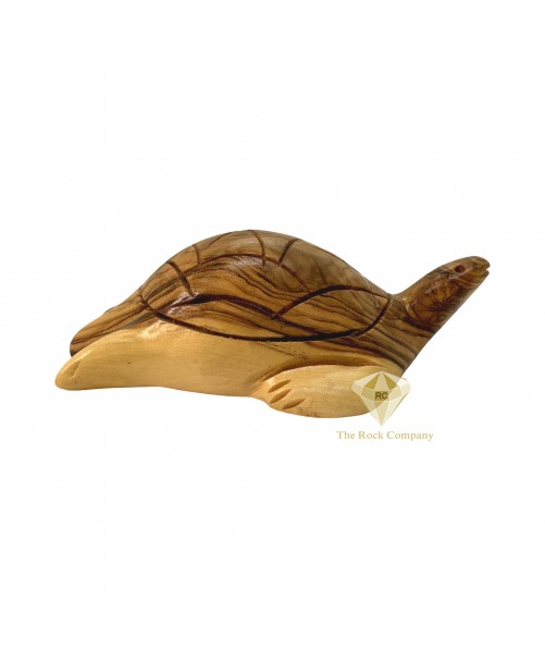 Olive Wood Turtle Hand Carved 
