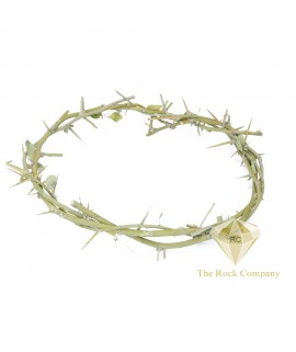 Crown Of Thorns