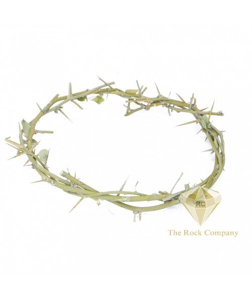 Crown Of Thorns